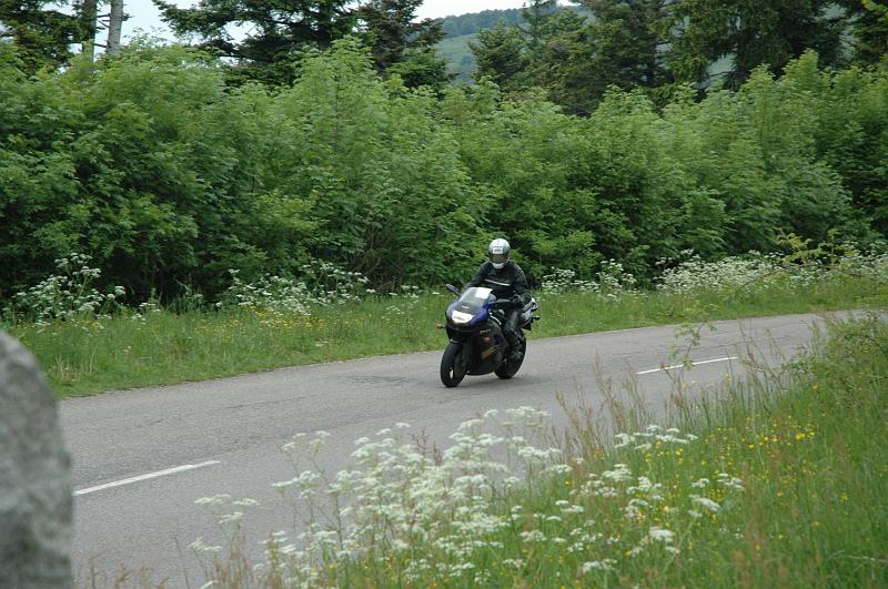 DSC_0170.JPG